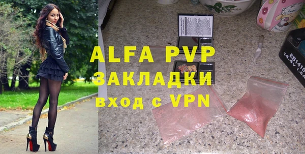 гашик Ладушкин