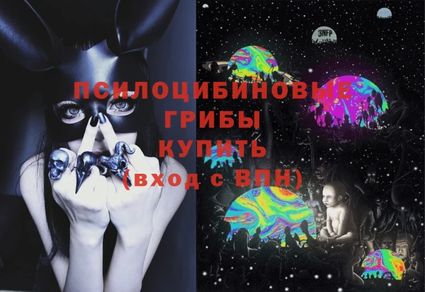 гашик Ладушкин