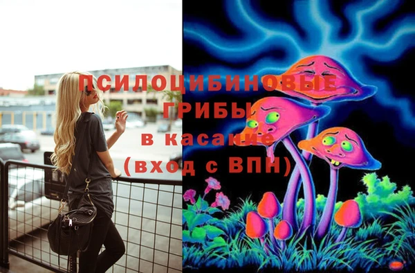 гашик Ладушкин