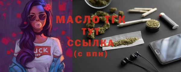 гашик Ладушкин