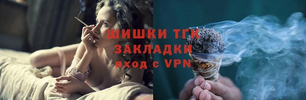 гашик Ладушкин