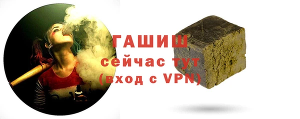 гашик Ладушкин