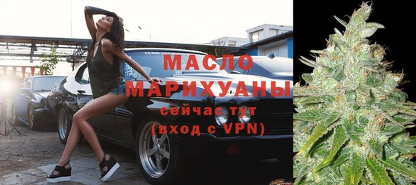 гашик Ладушкин