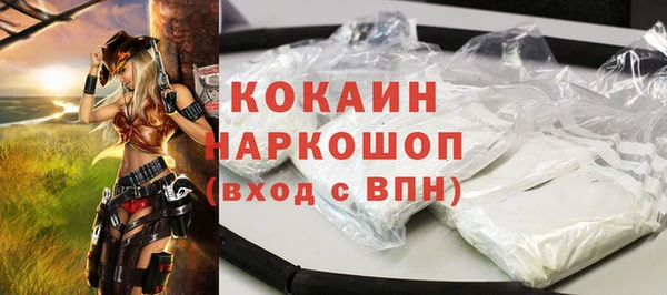гашик Ладушкин